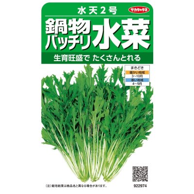 画像1: 送料無料　[葉物]　水菜　鍋物バッチリ水菜　水天２号　（株）サカタのタネ　実咲250（203246）