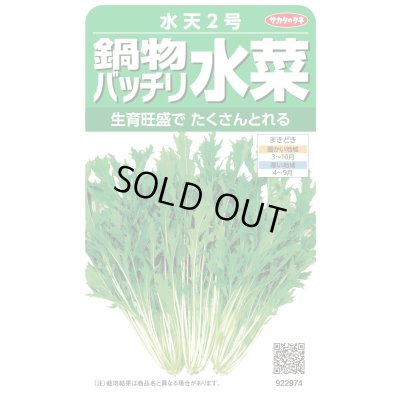 画像1: 送料無料　[葉物]　水菜　鍋物バッチリ水菜　水天２号　（株）サカタのタネ　実咲250（203246）