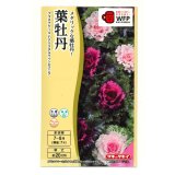 送料無料　花の種　葉牡丹　クリスタルワイン＆バニラ　小袋（約20粒）タキイ種苗（株）NL300