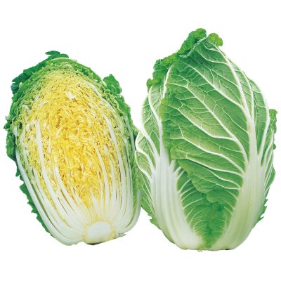 画像2: 送料無料　[白菜]　ちよぶき70　約110粒　（株）サカタのタネ　実咲450（003426）