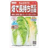 送料無料　[白菜]　ちよぶき70　約110粒　（株）サカタのタネ　実咲450（003426）