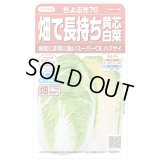 送料無料　[白菜]　ちよぶき70　約110粒　（株）サカタのタネ　実咲450（003426）