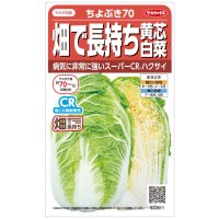 送料無料　[白菜]　ちよぶき70　約110粒　（株）サカタのタネ　実咲450（003426）