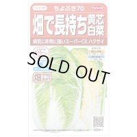 送料無料　[白菜]　ちよぶき70　約110粒　（株）サカタのタネ　実咲450（003426）