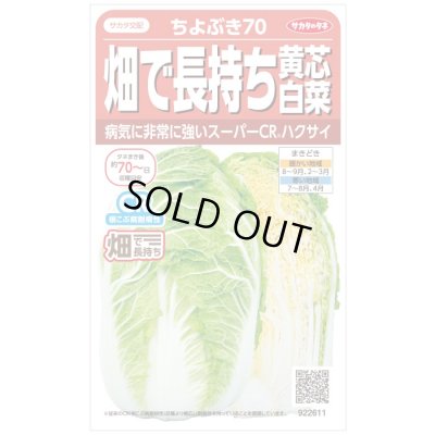 画像1: 送料無料　[白菜]　ちよぶき70　約110粒　（株）サカタのタネ　実咲450（003426）