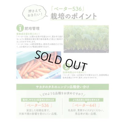画像2: 送料無料[人参]　ベーター536　ペレット1万粒　（株）サカタのタネ