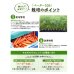 画像2: 送料無料[人参]　ベーター536　ペレット1万粒　（株）サカタのタネ (2)