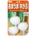 送料無料　[かぶ]　玉波　約900粒　（株）サカタのタネ　実咲450（003099）