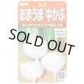 送料無料　[かぶ]　玉波　約900粒　（株）サカタのタネ　実咲450（003099）