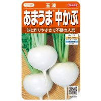 送料無料　[かぶ]　玉波　約900粒　（株）サカタのタネ　実咲450（003099）