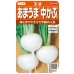 画像1: 送料無料　[かぶ]　玉波　約900粒　（株）サカタのタネ　実咲450（003099） (1)