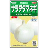 送料無料　[たまねぎ]　ゆめたま　約250粒　（株）サカタのタネ　実咲450　（203247）