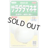 送料無料　[たまねぎ]　ゆめたま　約250粒　（株）サカタのタネ　実咲450　（203247）