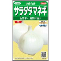 送料無料　[たまねぎ]　ゆめたま　約250粒　（株）サカタのタネ　実咲450　（203247）