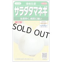 送料無料　[たまねぎ]　ゆめたま　約250粒　（株）サカタのタネ　実咲450　（203247）