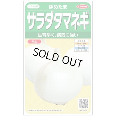 画像1: 送料無料　[たまねぎ]　ゆめたま　約250粒　（株）サカタのタネ　実咲450　（203247）