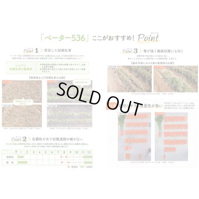 画像3: 送料無料[人参]　ベーター536　ペレット1万粒　（株）サカタのタネ