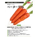 送料無料[人参]　ベーター536　ペレット1万粒　（株）サカタのタネ