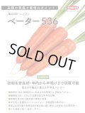送料無料[人参]　ベーター536　ペレット1万粒　（株）サカタのタネ