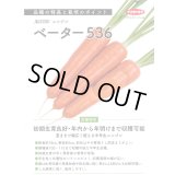 送料無料[人参]　ベーター536　ペレット1万粒　（株）サカタのタネ