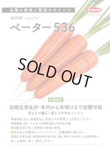 送料無料[人参]　ベーター536　ペレット1万粒　（株）サカタのタネ