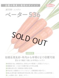 送料無料[人参]　ベーター536　ペレット1万粒　（株）サカタのタネ