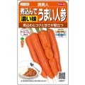 送料無料　[人参]　濱美人　約400粒　（株）サカタのタネ　実咲450