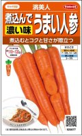 送料無料　[人参]　濱美人　約400粒　（株）サカタのタネ　実咲450