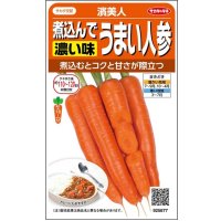 送料無料　[人参]　濱美人　約400粒　（株）サカタのタネ　実咲450