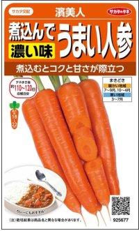 送料無料　[人参]　濱美人　約400粒　（株）サカタのタネ　実咲450