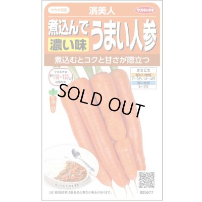 画像1: 送料無料　[人参]　濱美人　約400粒　（株）サカタのタネ　実咲450