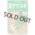 送料無料　[たまねぎ]　葉タマネギ　　約180粒　　（株）サカタのタネ　実咲350（203248）