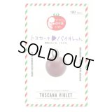 送料無料　[トマト/マウロの地中海トマト]　トスカーナバイオレット　100粒　サナテックシード（株）