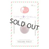 送料無料　[トマト/マウロの地中海トマト]　トスカーナバイオレット　100粒　サナテックシード（株）