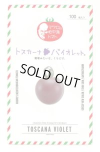 送料無料　[トマト/マウロの地中海トマト]　トスカーナバイオレット　100粒　サナテックシード（株）