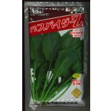 ほうれんそう　スパイダーZ　（種子サイズM）3万粒　トキタ種苗（株）