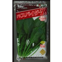 ほうれんそう　スパイダーZ　（種子サイズM）3万粒　トキタ種苗（株）