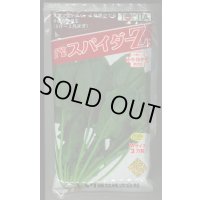 ほうれんそう　スパイダーZ　（種子サイズM）3万粒　トキタ種苗（株）