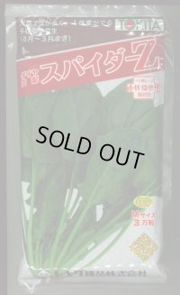 ほうれんそう　スパイダーZ　（種子サイズM）3万粒　トキタ種苗（株）