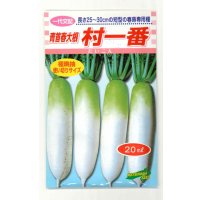 送料無料　[大根]　村一番　 20ml　松永種苗(株)