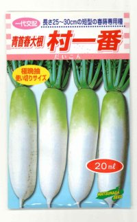 送料無料　[大根]　村一番　 20ml　松永種苗(株)