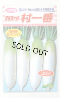 送料無料　[大根]　村一番　 20ml　松永種苗(株)