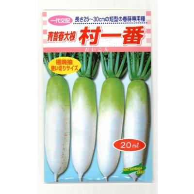 画像1: 送料無料　[大根]　村一番　 20ml　松永種苗(株)