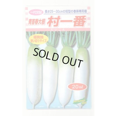 画像1: 送料無料　[大根]　村一番　 20ml　松永種苗(株)