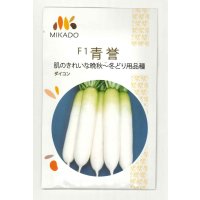 送料無料　大根種　青誉　500粒　ヴィルモランみかど（株）