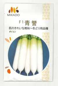 送料無料　大根種　青誉　500粒　ヴィルモランみかど（株）