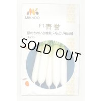 送料無料　大根種　青誉　500粒　ヴィルモランみかど（株）