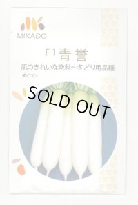 送料無料　大根種　青誉　500粒　ヴィルモランみかど（株）