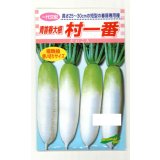 送料無料　[大根]　村一番　 小袋（3ml）　松永種苗(株)