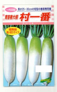 送料無料　[大根]　村一番　 小袋（3ml）　松永種苗(株)